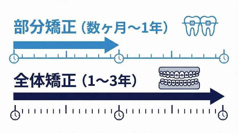 全体矯正と部分矯正の治療期間比較図表