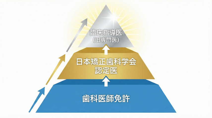 日本矯正歯科学会の認定医・臨床指導医制度の階層構造図